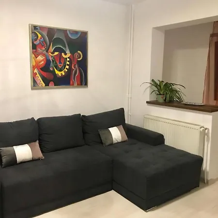 Modern Near Center Apartment Timisoara
